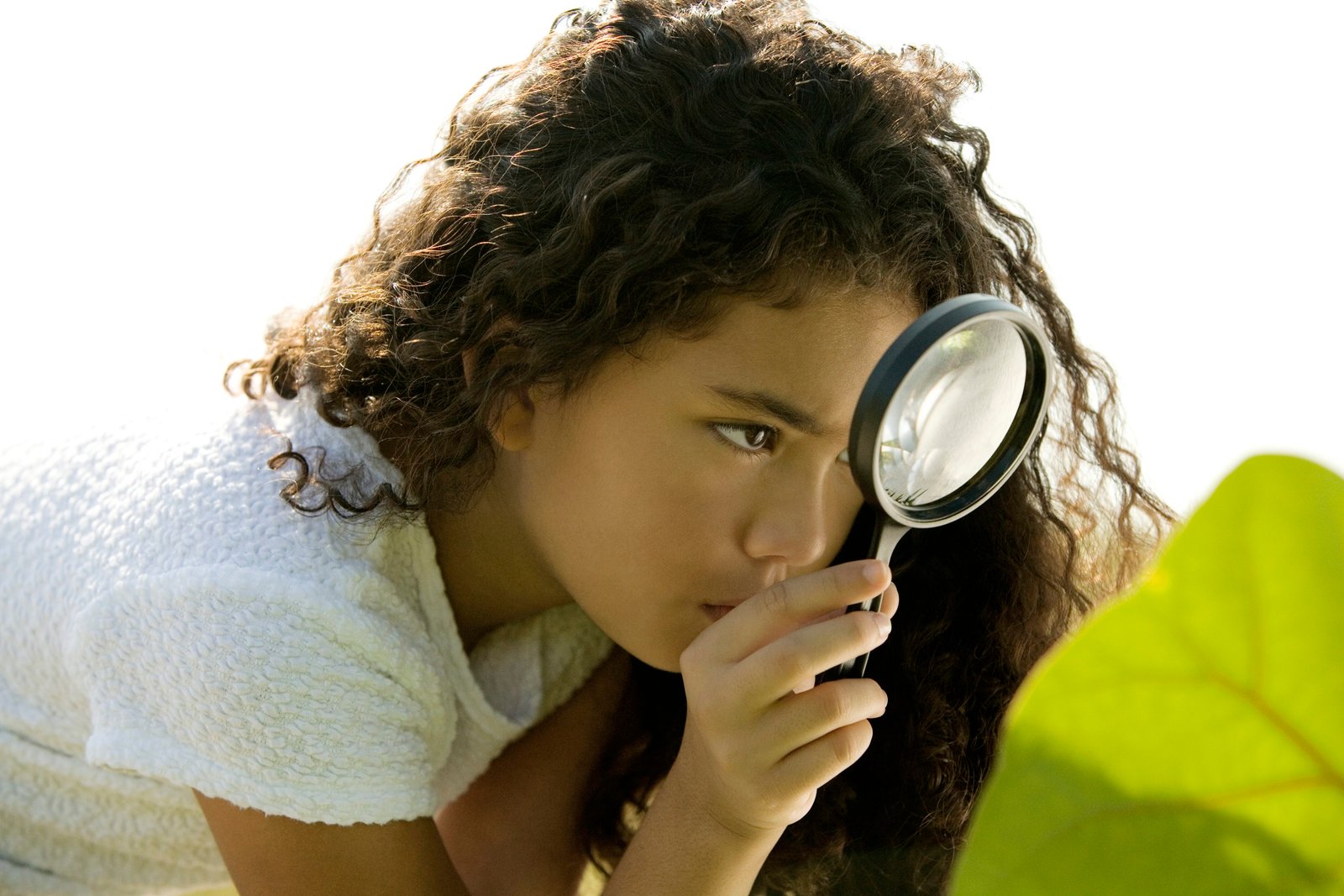 Writerpreneur: Book Writing as a Career