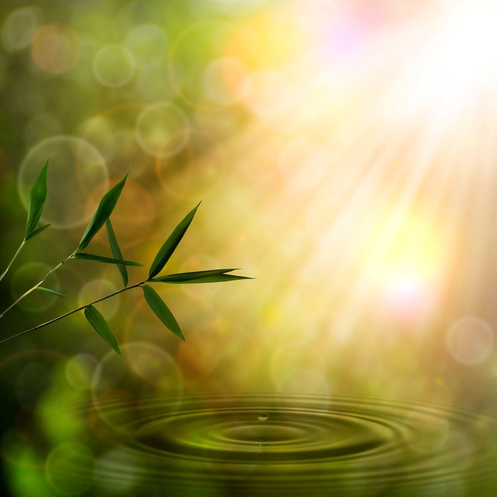 Certificate in International Marketing